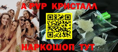 спайс Малгобек