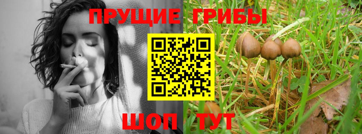 Рыбинск  Псилоцибиновые грибы мицелий  Вход с VPN  Псилоцибиновые грибы мухоморы 